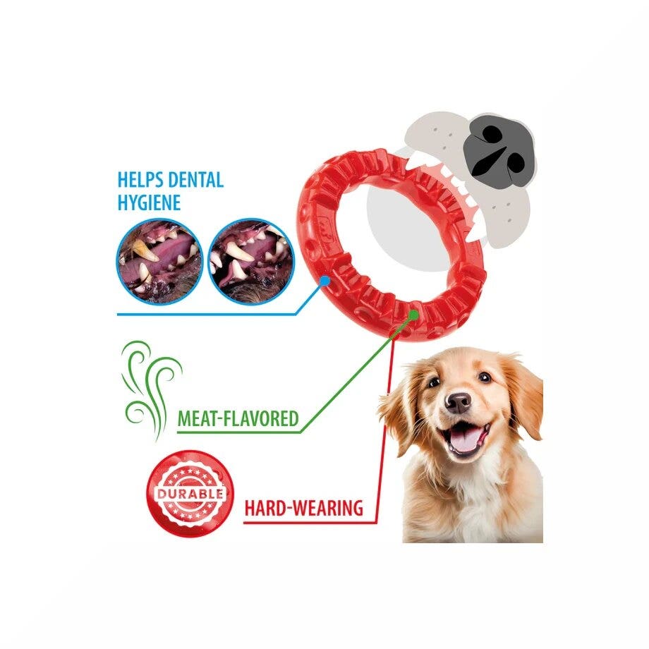 Ferplast Smile Ring Gioco Dentale Anello Taglia Small Rosso Per Cani