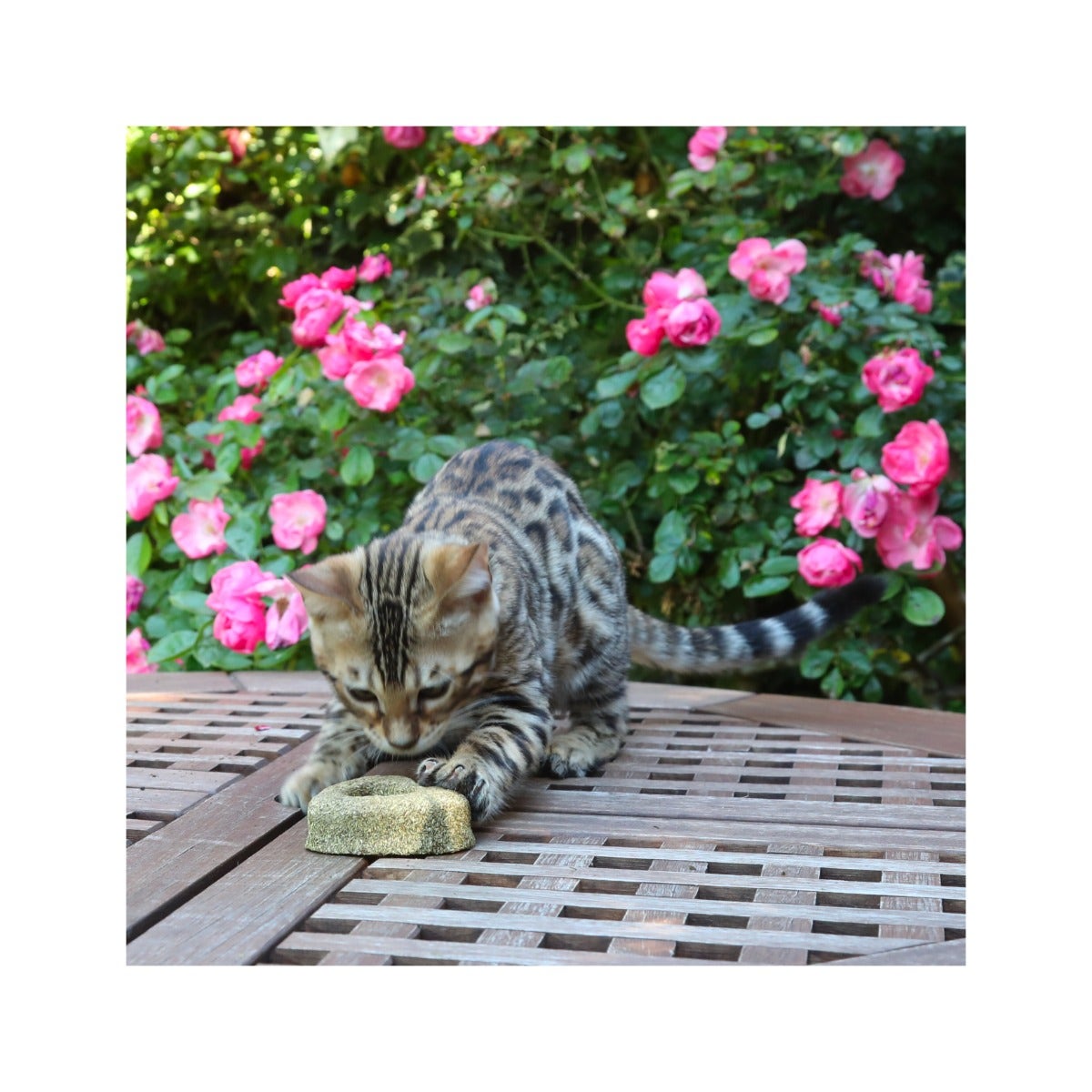 Croci Euphoria Cuore Con Catnip Gioco Per Gatti 7cm