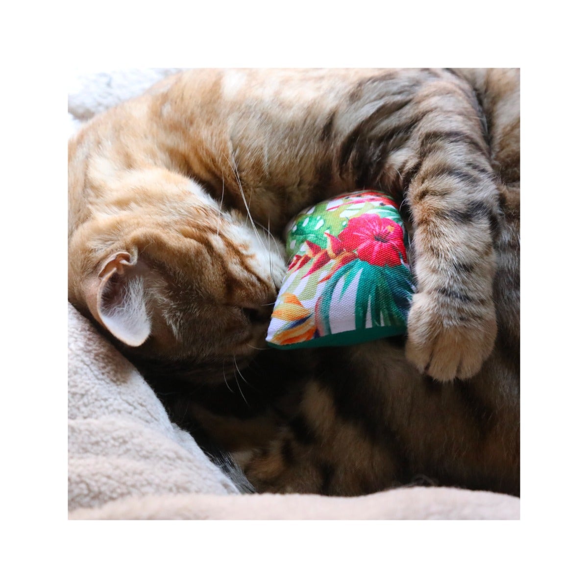 Croci Euphoria Cuscini Con Catnip Gioco Per Gatti 2 Pezzi 10x6cm