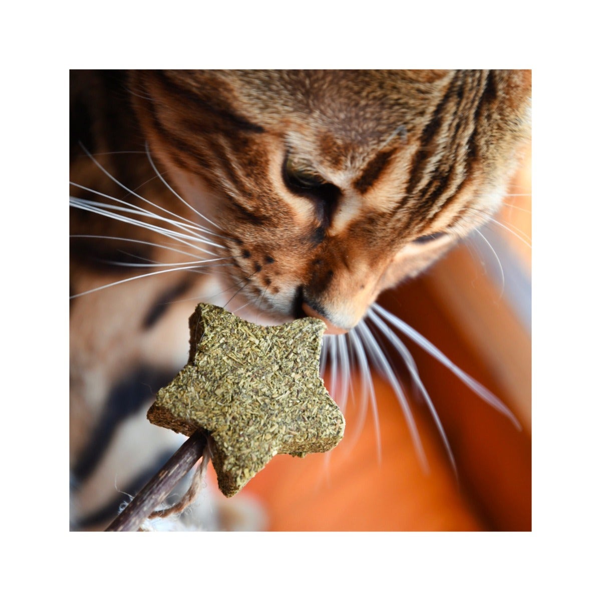 Croci Euphoria Stick Stella Con Catnip 12cm