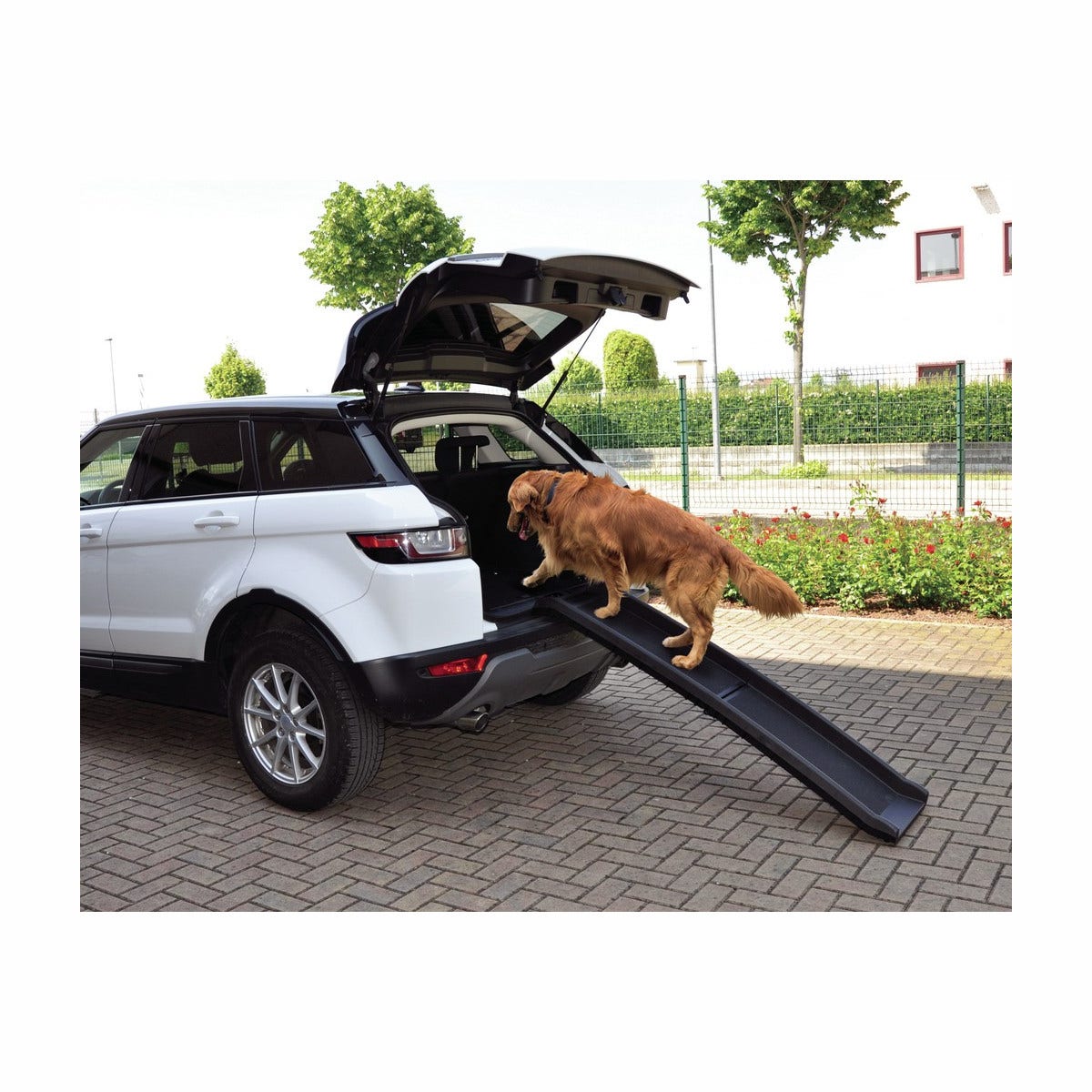 Camon Walky Ramp Rampa In Plastica Per Cani
