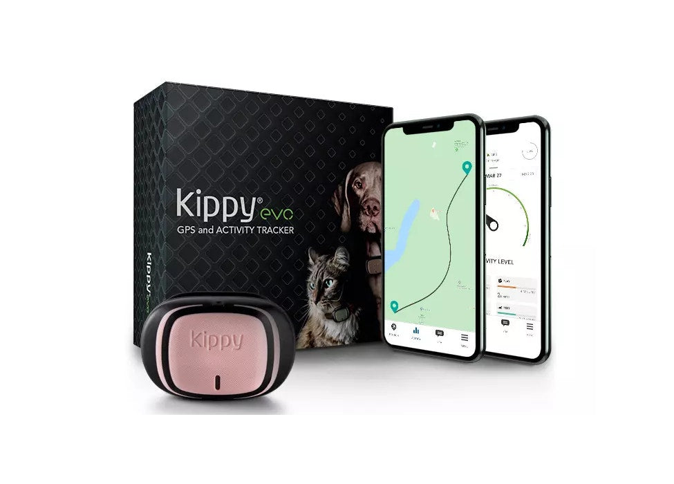 Kippy EVO Pink Petal GPS Con Activity Tracking Per Cani E Gatti