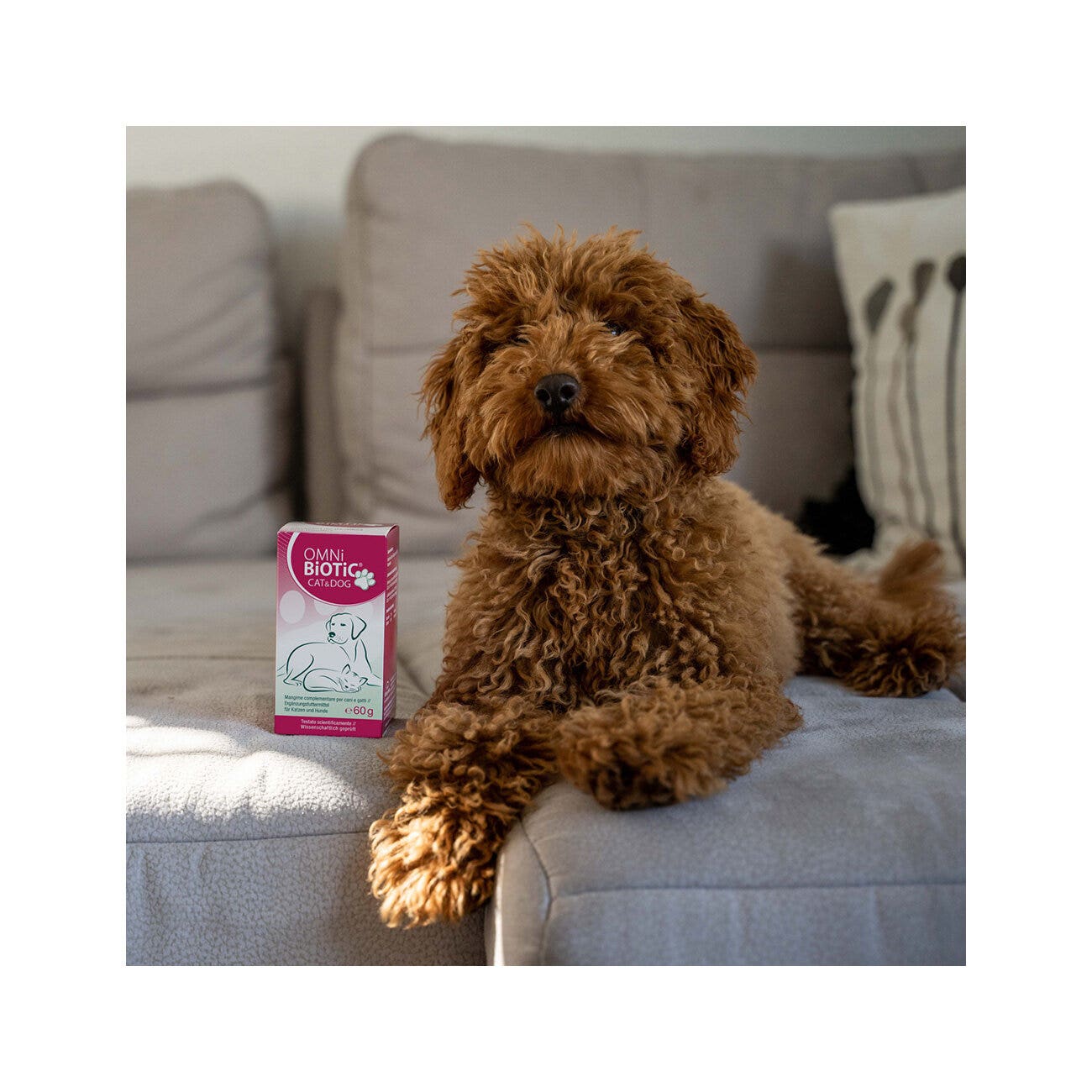 Omni Biotic Cat&Dog Mangime Complementare Per Cani e Gatti 60g