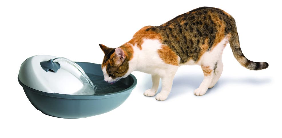 Camon Fuente Automatica Para Perros Y Gatos 1,7L-2
