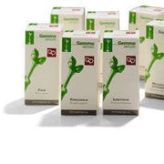 LIMÓN 200ML MG-1