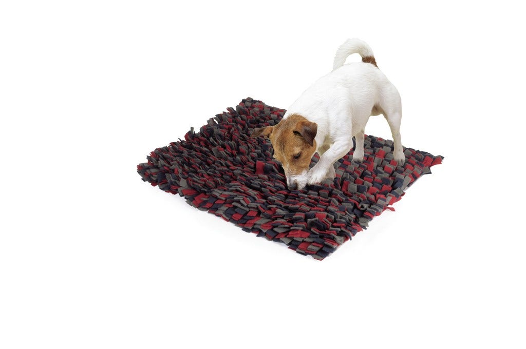 Camon Alfombra de Juego para Perros y Gatos Genius 50x60cm-2