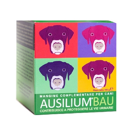 Ausilium Bau 100g-2