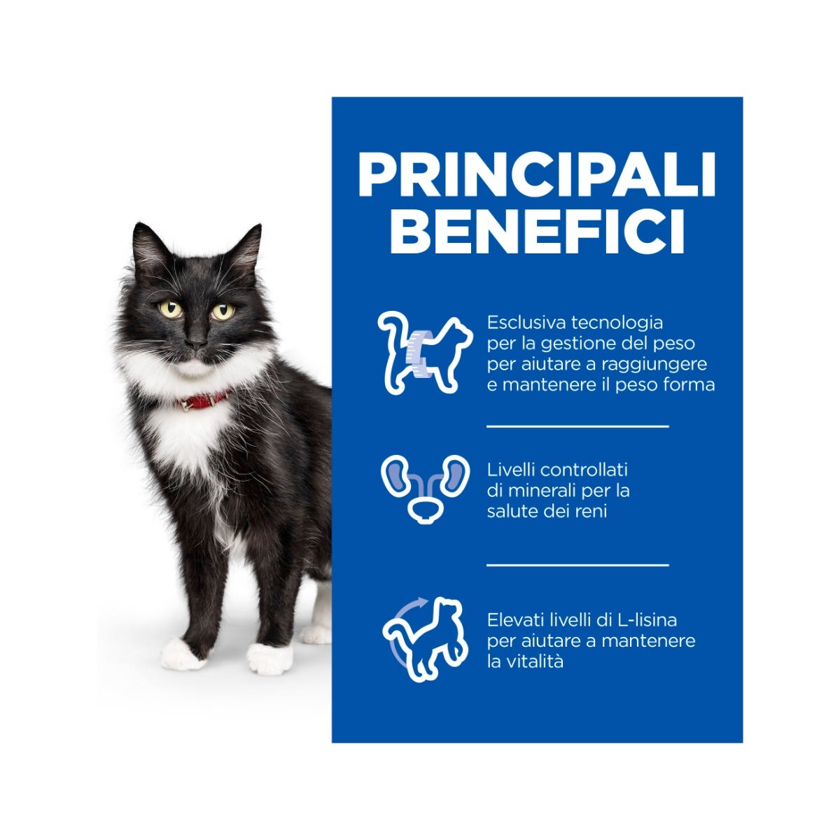 Hill's Science Plan Adult 7+ Sterilized Cat Croquetas de Pollo para Gatos Bolsa 1,5kg-11