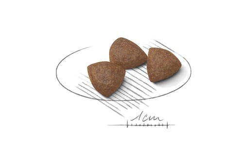 Royal Canin Starter Mother & Babydog Croquetas Para Perros Y Cachorros Tamaño Mediano Bolsa 4kg-1