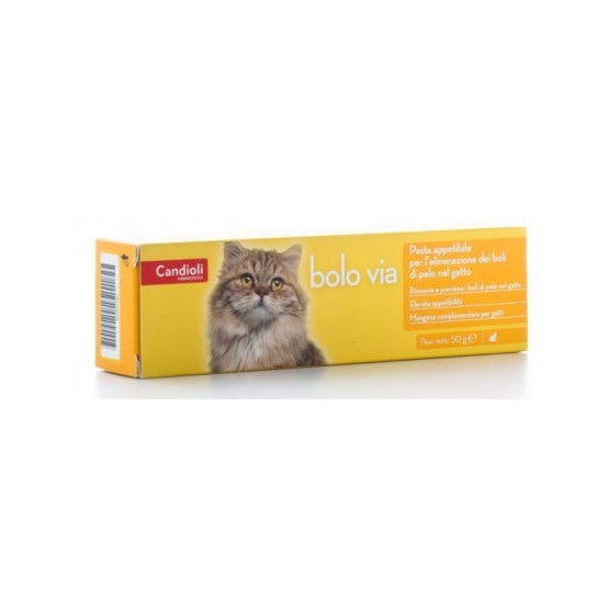 Bolo Vía Pasta Gatti 50g-2