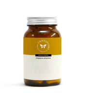 GYMNEMA PLUS 100CPS VEGETAL-1