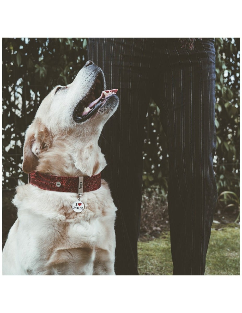 Medaglietta Per Cani E Gatti Personalizzata I Love Mom