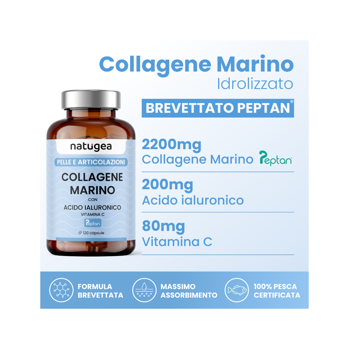 Natugea Colágeno Marino Hidrolizado Peptan F HD con Ácido Hialurónico y Vitamina C 120 Cápsulas