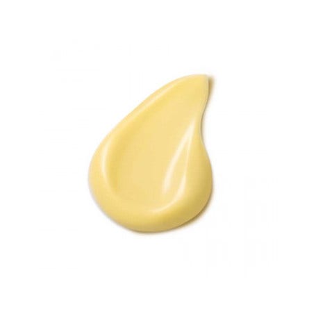 Dr Hauschka Crema Cotogna Giorno Spring 30 Ml