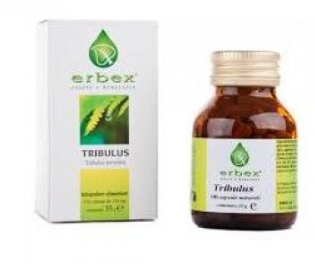 Tribulus 100 Cpsulas-2
