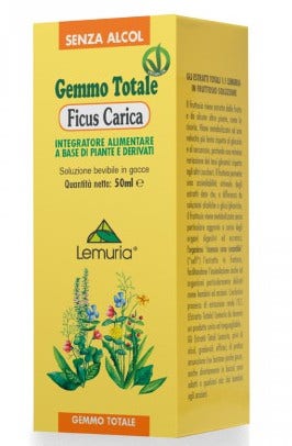 Extracto Total Ficus Subir Gotas 50ml-2