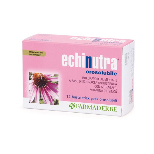 Echinutra Polvo Orosoluble 12 Stick-2