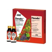 Floradix Monodosis 10 Frascos-2