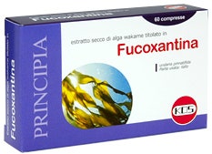 Kos Fucoxantina 60 Comprimidos-2