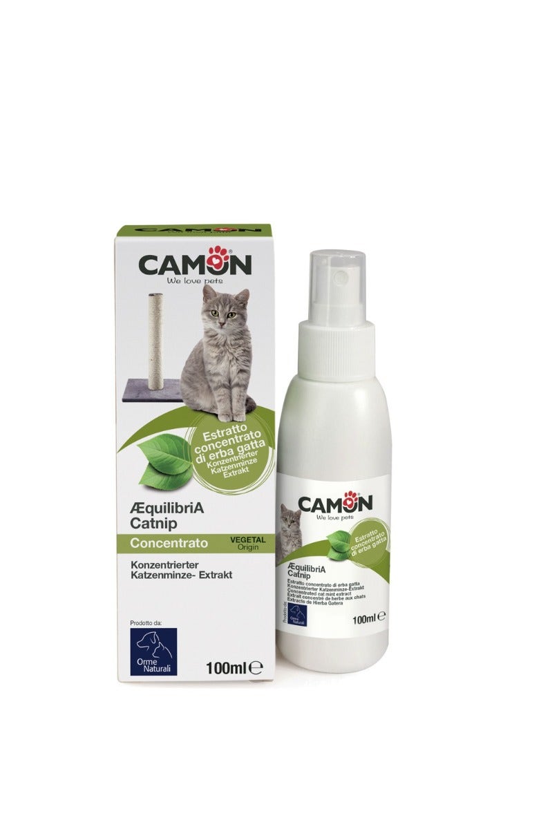 Extracto concentrado de hierba gatera 100ml-2