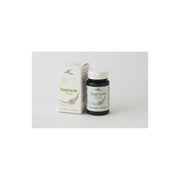 Gastractic Plus 40 Comprimidos-2