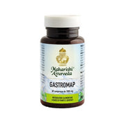 Gastromapa 60 Comprimidos-2