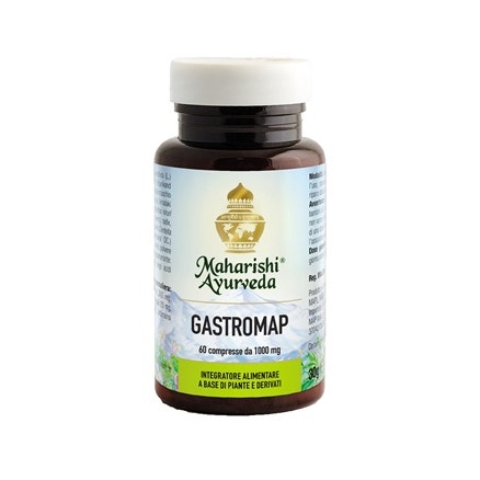 Gastromapa 60 Comprimidos-2