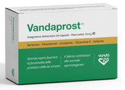 Vandaprost 24 Cápsulas-2