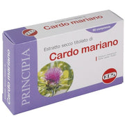 Extracto Seco De Cardo Mariano 60 Comprimidos-3