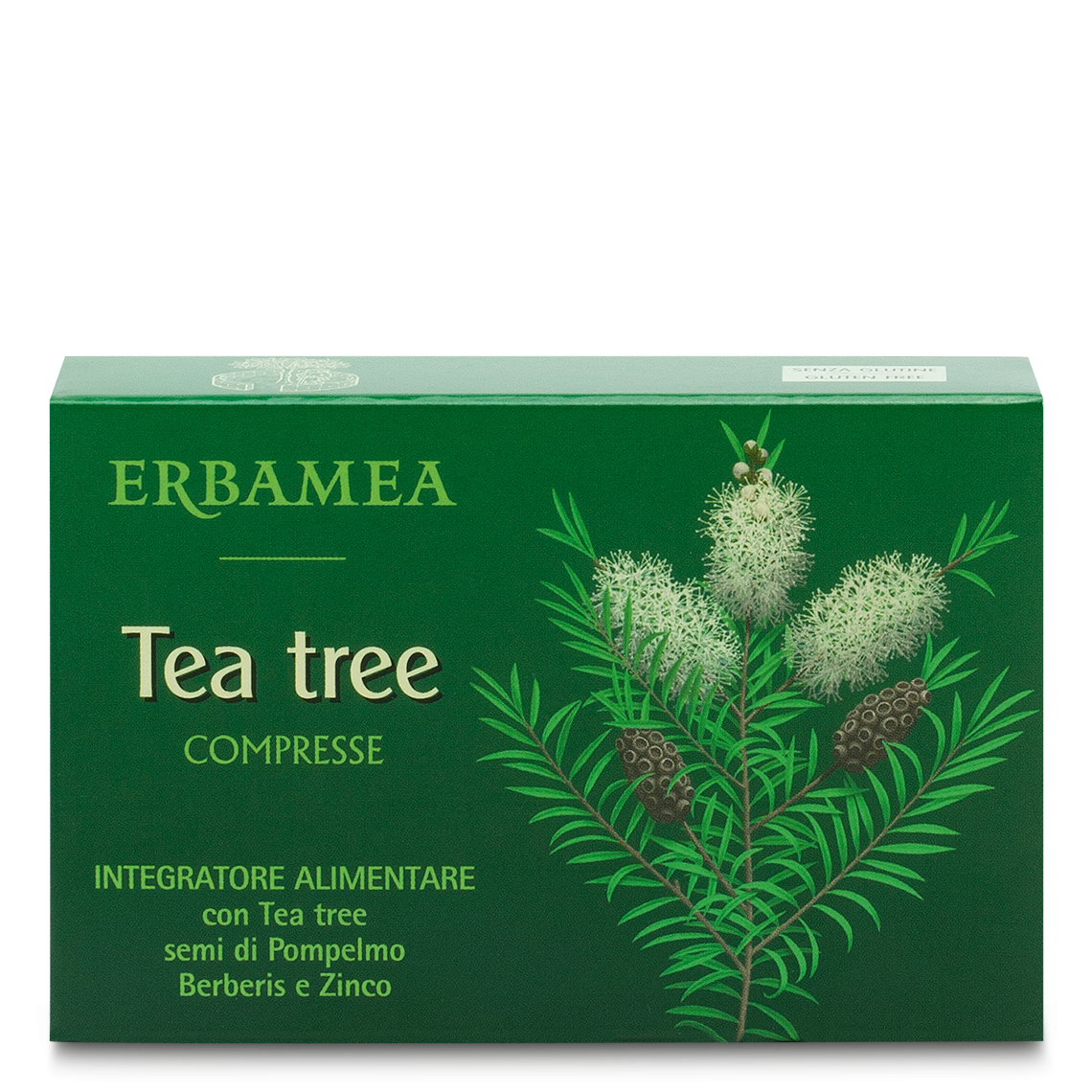 ÁRBOL DEL TÉ 30CPR-1