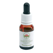 Arbusto Australiano Macrocarpa 15ml-3