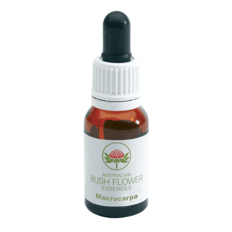 Arbusto Australiano Macrocarpa 15ml-3