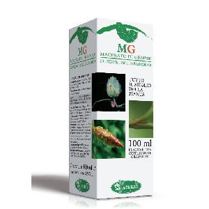 Frambuesa Macerada De Cogollos 100ml-2