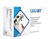 Legart Pienso Complementario Perros/Gatos 30 Comprimidos-2