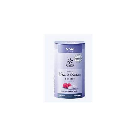 Lemon Pharma Caramelo 41 Concentración-2