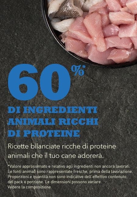 Acana Receta Croquetas para Perros Adultos Bolsa 11,4kg-3