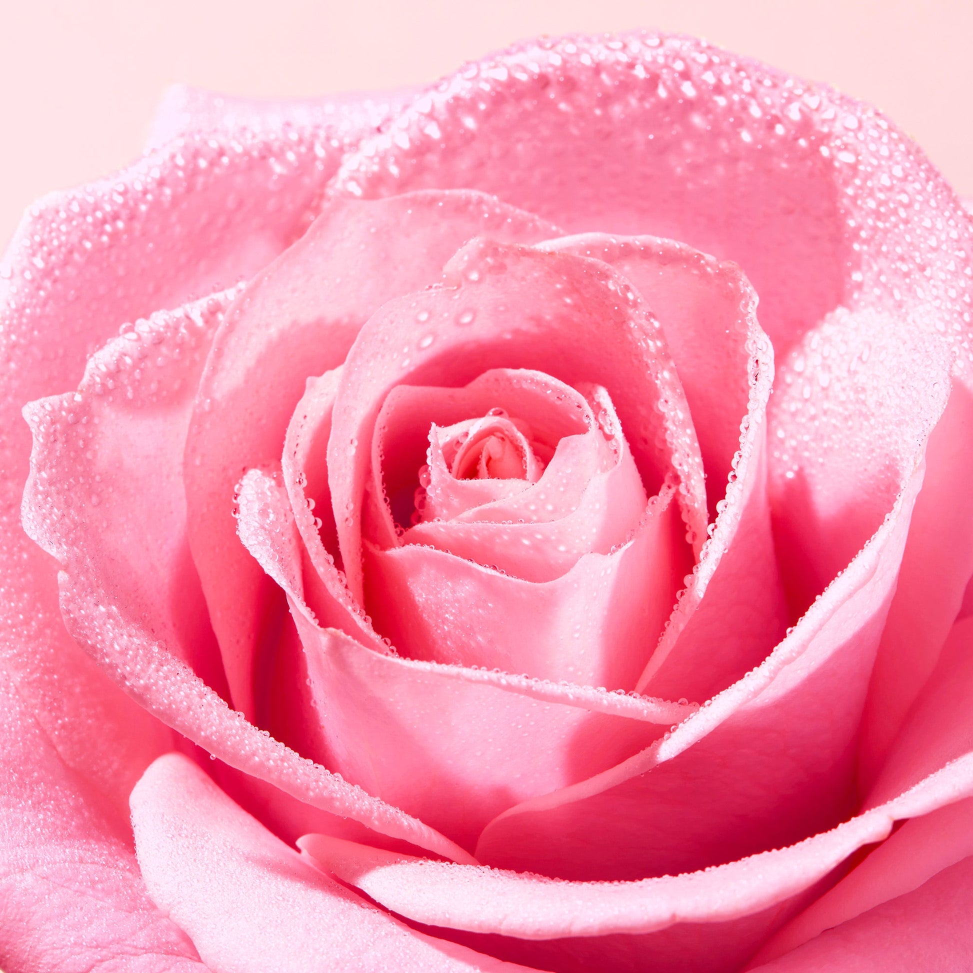 Nuxe Very Rose Tónico Fresco Spray 200ml-6