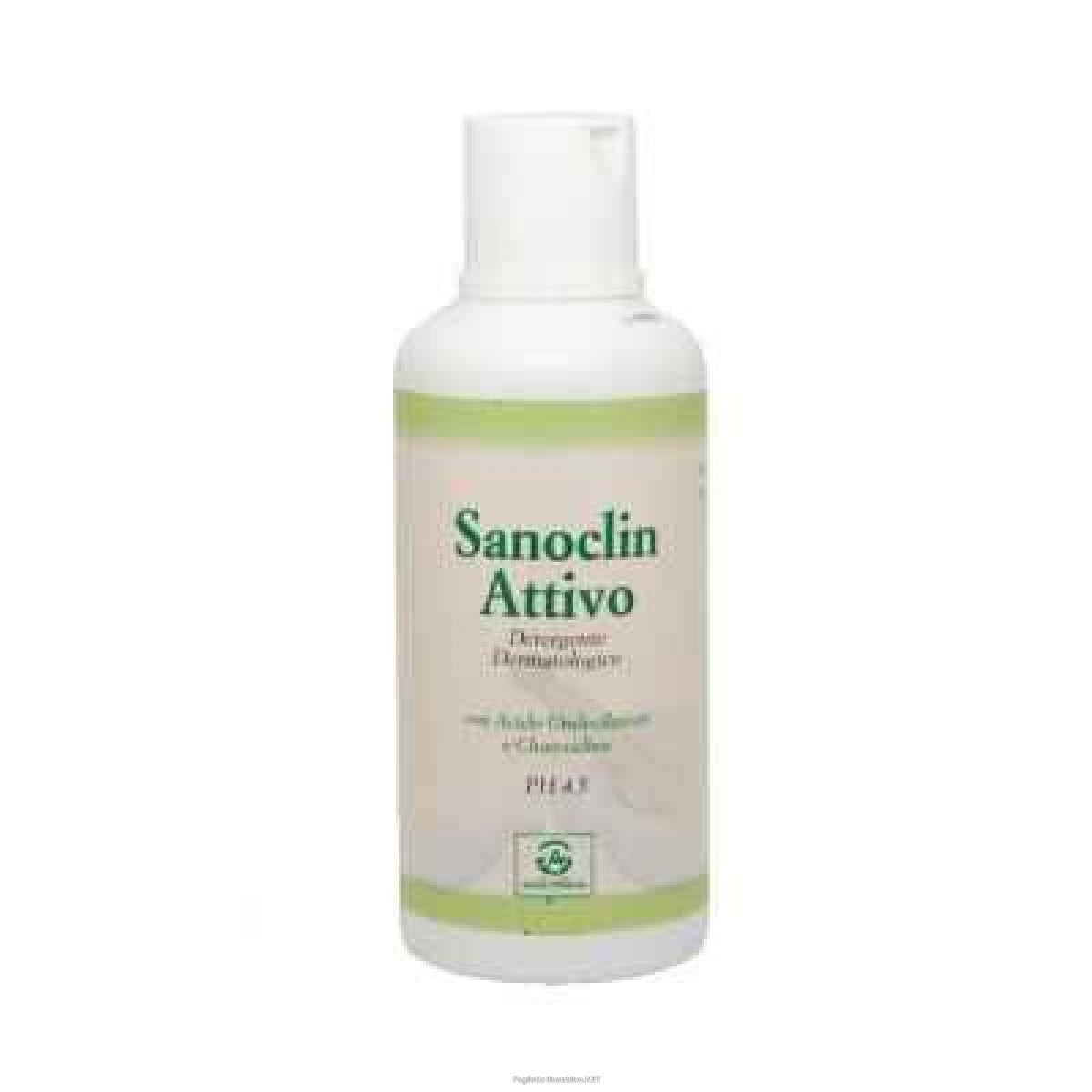 Sanoclin Active Champú Ducha 500ml-1