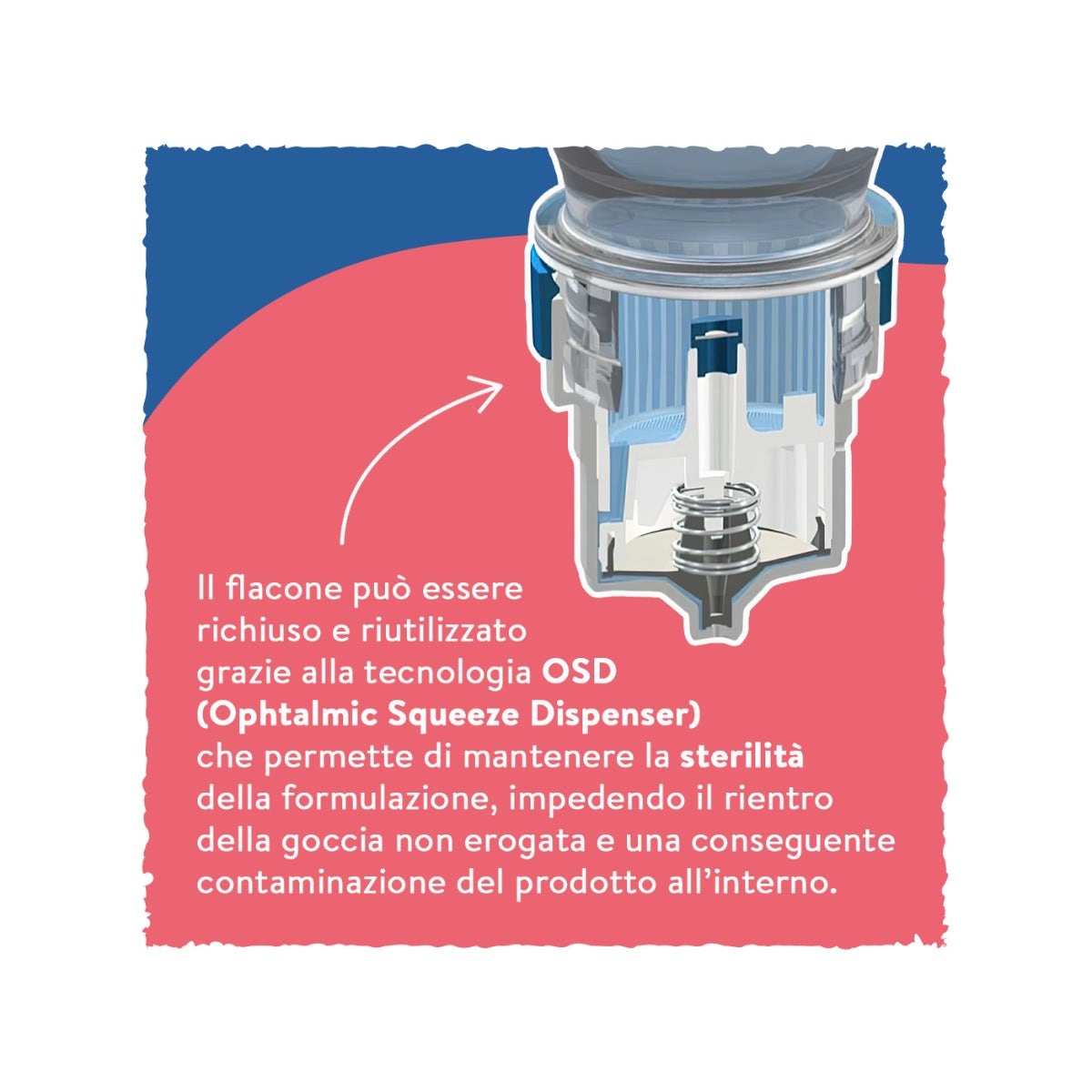 Boiron Euphralia Occhi Rossi Collirio 10ml-4