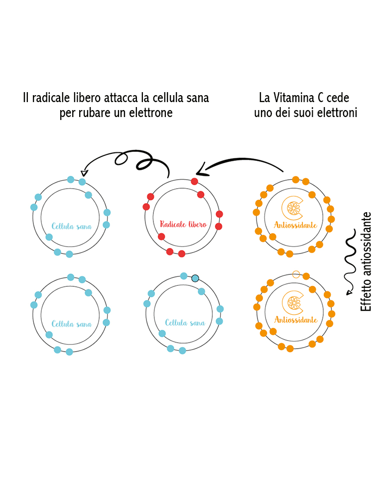 La Saponaria Activo Puro Vitamina C 30ml-4