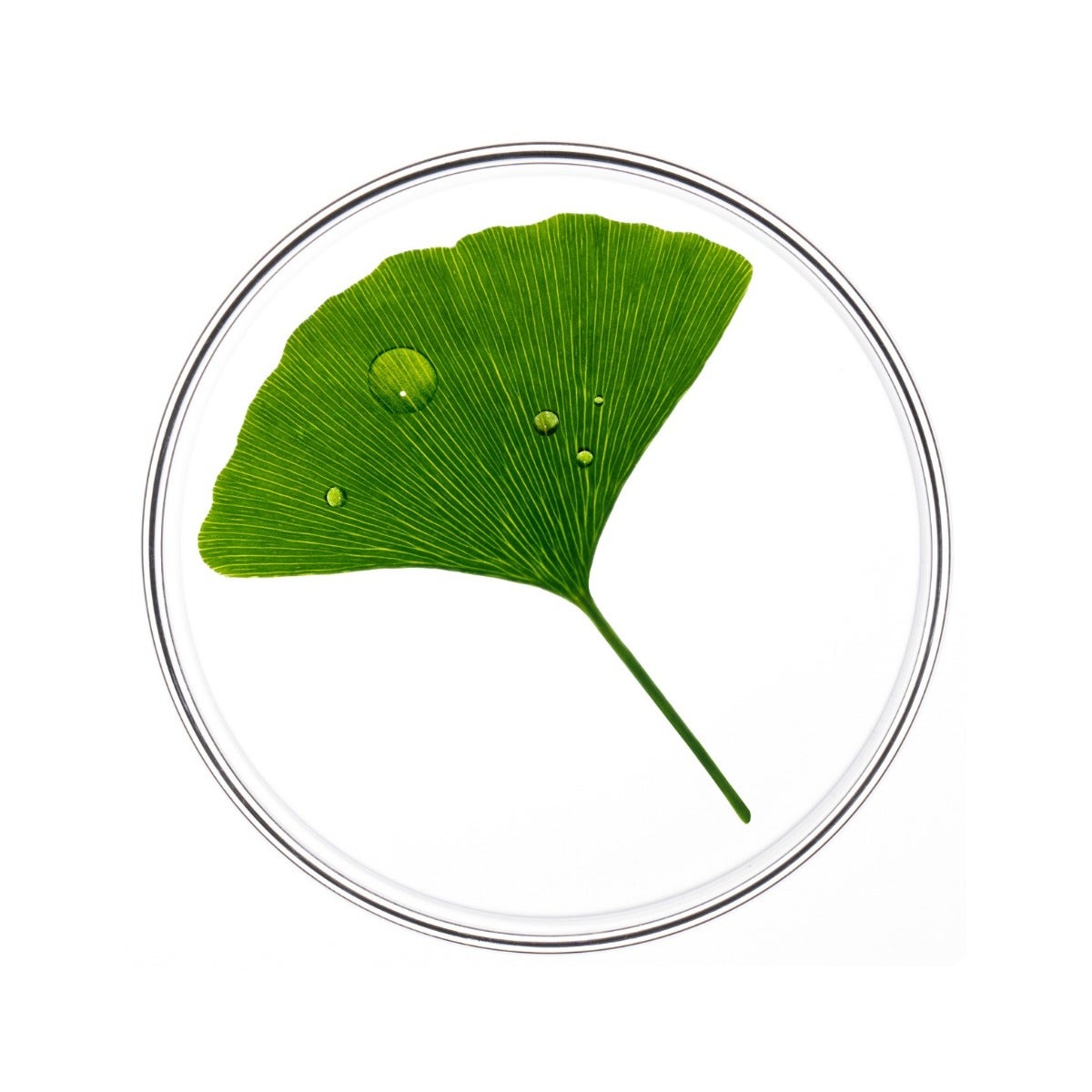 Phyto Phytocyane Fiale Donna Caduta Temporanea 12x5ml
